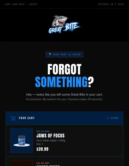 Abandoned cart recovery email — real client work